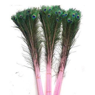 HBXD Feather Peacock L90/100 10pc/Bnd