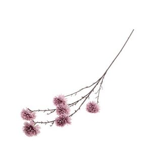 HBXD Stem Dahlia Charm L120