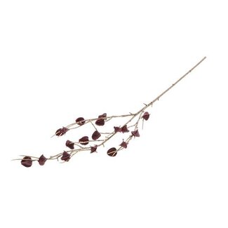 HBXD Stem Physalis Mini L84