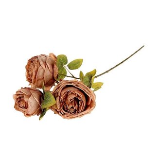 HBXD Branch Rosa Gallica L70