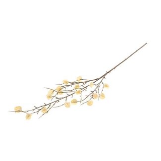 HBXD Stem Physalis Mini L84