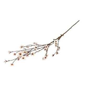 HBXD Branch Blossom Almonde L111