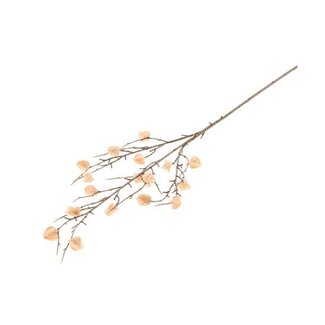 HBXD Stem Physalis Mini L84
