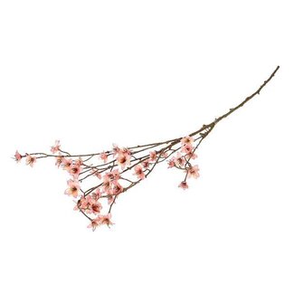 HBXD Branch Blossom Almonde L111