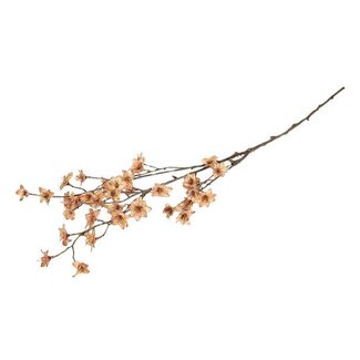 HBXD Branch Blossom Almonde L111