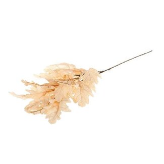 HBXD Stem Leaf Quercus L105