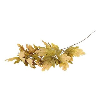 HBXD Stem Quercus Leaf L105