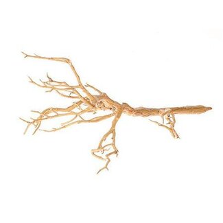 HBXD Stem Deadwood Branch L52W30H17