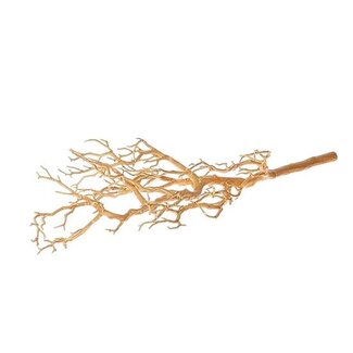 HBXD Stem Deadwood Branch L78W36H18