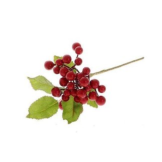 HBXD Branch Ashberry L30
