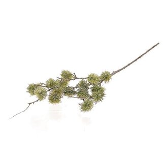 HBXD Stem Fosted Pompom L20W20H87