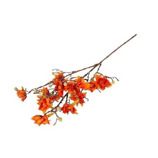 HBXD Branch Magnolia Grandi L88