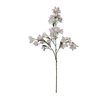 HBXD Stem Bougainvillea L104W34H10