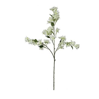 HBXD Stem Bougainvillea L104W34H10