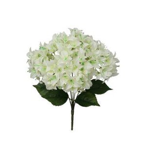 HBXD Bunch Bougainvillea L46W24H24