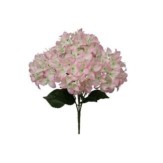 HBXD Bunch Bougainvillea L46W24H24