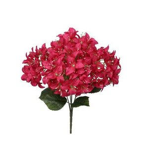 HBXD Bunch Bougainvillea L46W24H24