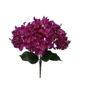 HBXD Bunch Bougainvillea L46W24H24