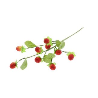 HBXD Stem Strawberry L15W5H41