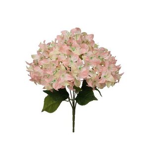 HBXD Bunch Bougainvillea L46W24H24
