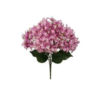 HBXD Bunch Bougainvillea L46W24H24