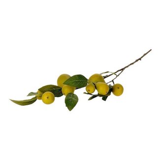 HBXD Stem Pear Comice L83