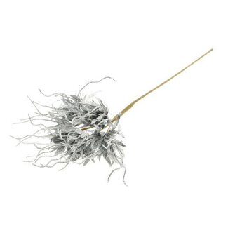 HBXD Stem Spider Carnation L55D10