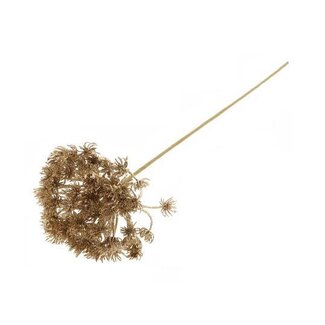 HBXD Stem Heracleum Glitter L60D15