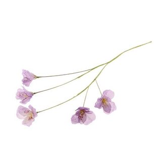 HBXD Stem Lisianthus L63