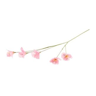 HBXD Stem Lisianthus L63
