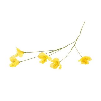 HBXD Stem Lisianthus L63