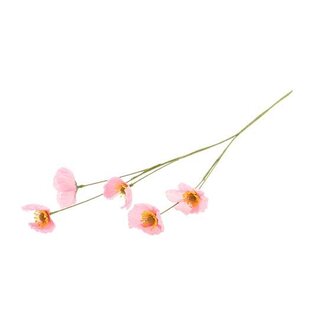 HBXD Stem Poppy L61