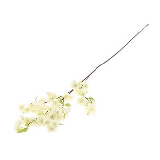 HBXD Stem Blossom L105