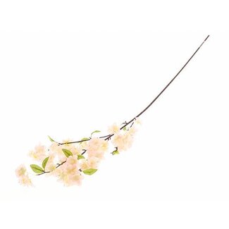 HBXD Stem Blossom L105