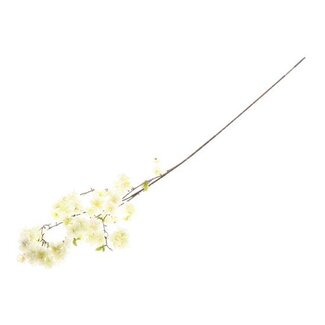 HBXD Stem Blossom L130