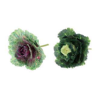 HBXD Cabbage 2Ass L25W25H25