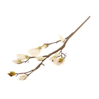 HBXD Stem Magnolia L98W15H3