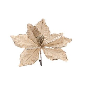HBXD Poinsettia On Clip L23W23H20