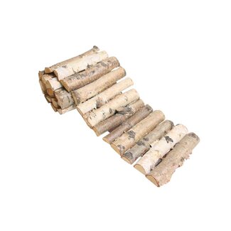 HBXD Birch Branche Ribbon L90W10H2