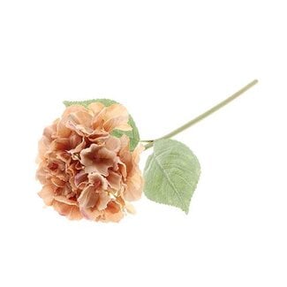 HBXD Stem Hydrangea Adorn L60