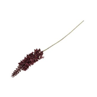 HBXD Stem Flori Torch L88