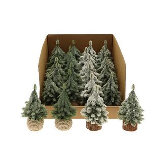 HBXD Tree Tiny 4Ass H15D8