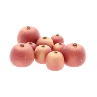 HBXD Apple Malus 3 Size 9Pcs