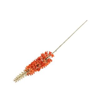 HBXD Stem Flori Torch L88