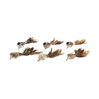 HBXD Bird Paradise 6pcs L26W5H6
