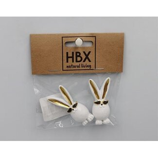 HBXD Bunny With Sunglass 2 Pcs L10W11H2