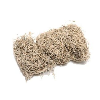 HBXD Tillandsia Moss 1Kg Bulk