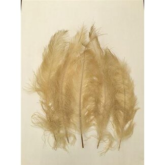 HBXD Feather Ostrich 5 Pcs L55