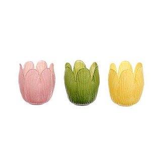 HBXD Tealight Tulip 3 Ass.H8.5D6.5
