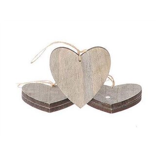 HBXD Hanger Essential Heart 5 Pcs L25W25H1